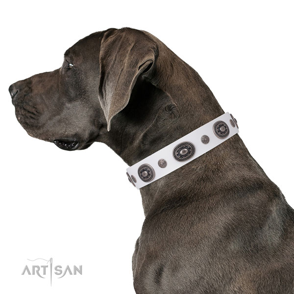 Great Dane fashionable leather dog collar for comfortable wearing