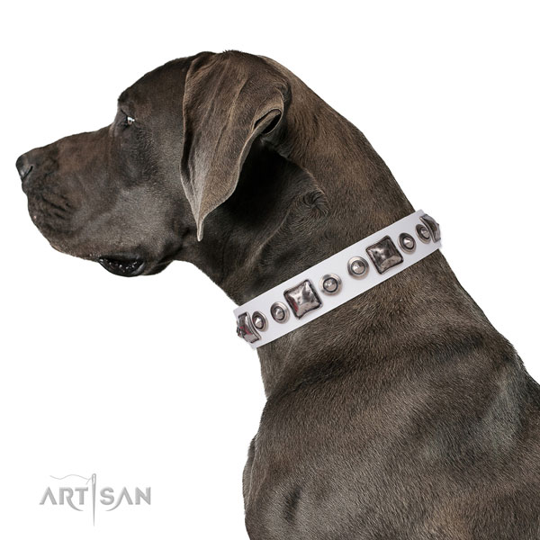 Great Dane awesome full grain genuine leather dog collar for comfy wearing