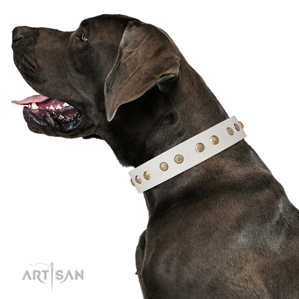 Great Dane inimitable full grain leather dog collar for handy use
