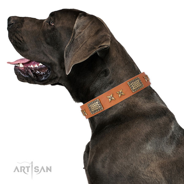 Great Dane handmade full grain genuine leather dog collar for daily use
