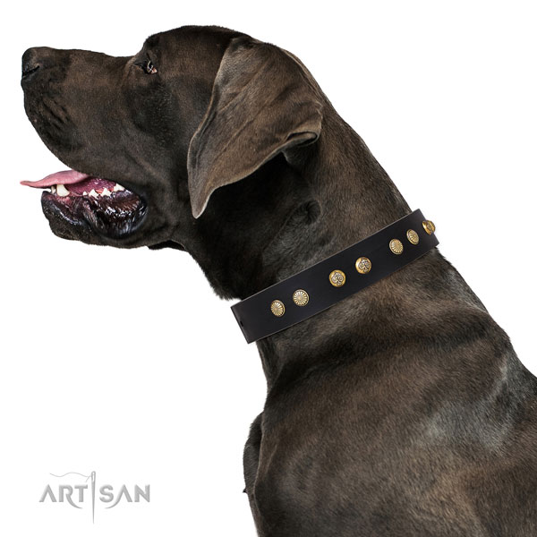 Great Dane adjustable genuine leather dog collar for daily use