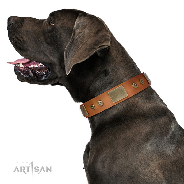 Great Dane awesome natural genuine leather dog collar for easy wearing