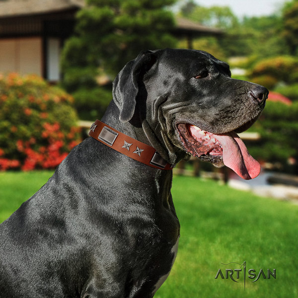 Great Dane adjustable collar with stylish design studs for your dog