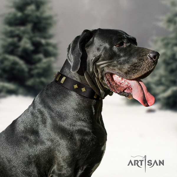 Great Dane everyday walking full grain natural leather collar with studs for your pet