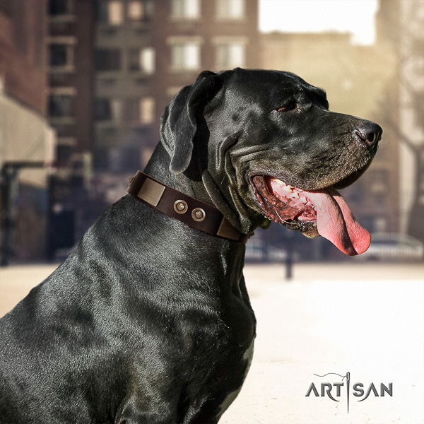 Great Dane daily walking leather collar for your impressive pet