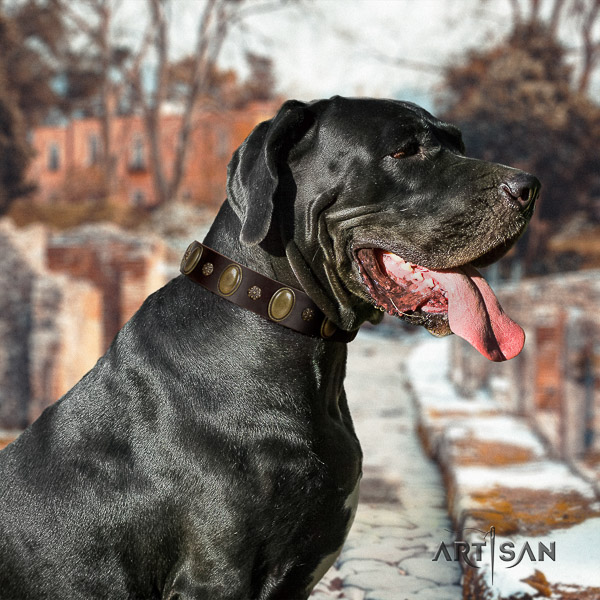 Great Dane easy wearing genuine leather collar with embellishments for your doggie