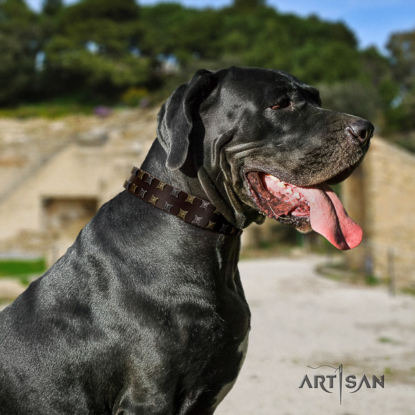 Great Dane walking genuine leather collar with decorations for your four-legged friend