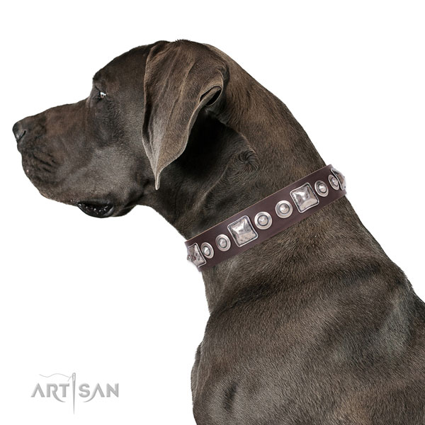 Great Dane embellished natural genuine leather dog collar for comfortable wearing
