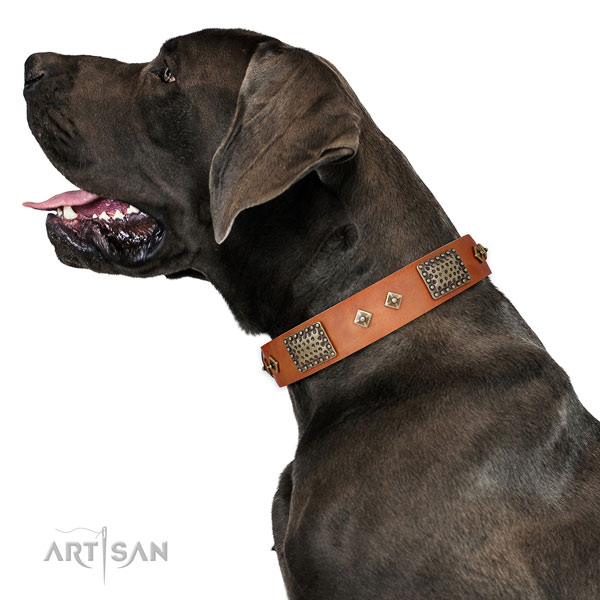 Great Dane fashionable natural genuine leather dog collar for easy wearing