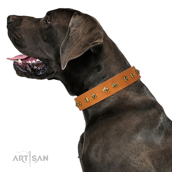 Great Dane fashionable natural genuine leather dog collar for comfy wearing