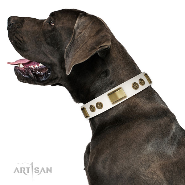 Great Dane unique full grain genuine leather dog collar for daily use