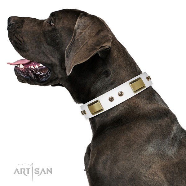 Great Dane inimitable full grain natural leather dog collar for handy use