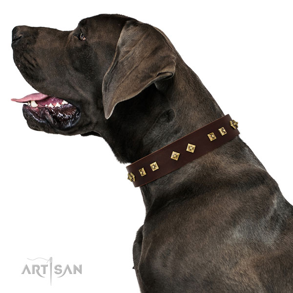 Great Dane handcrafted natural genuine leather dog collar for daily walking