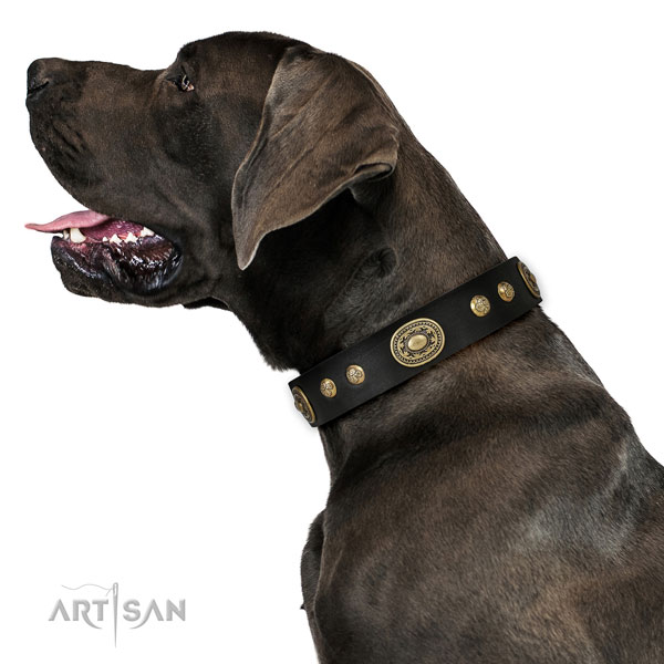 Great Dane top quality genuine leather dog collar for fancy walking