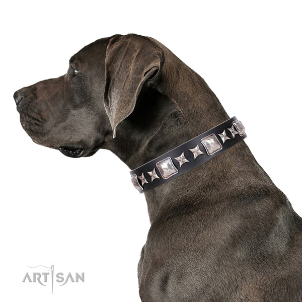 Great Dane designer leather dog collar for basic training