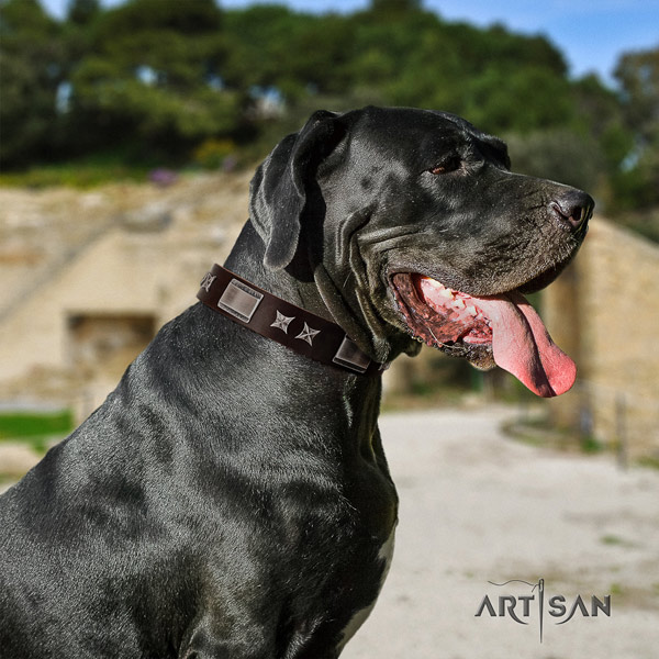 Great Dane perfect fit collar with exceptional embellishments for your canine