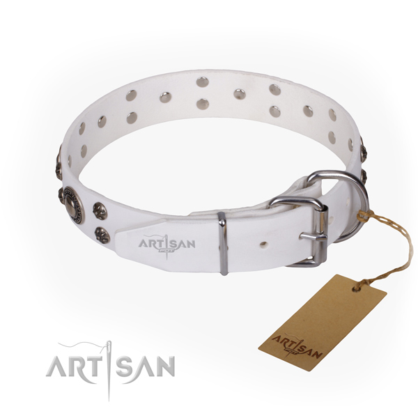 Durable leather collar for your gorgeous four-legged friend