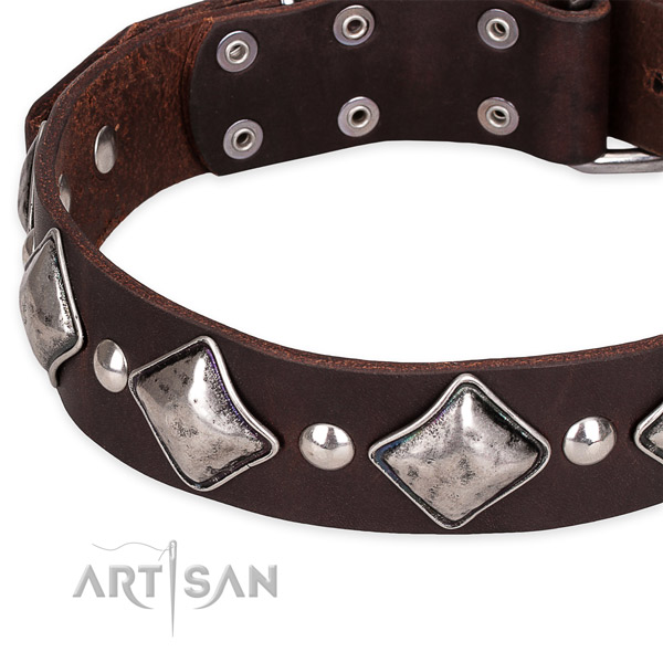 Easy to use leather dog collar with resistant to tear and wear non-rusting hardware