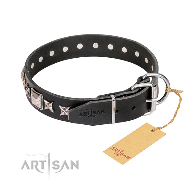 Fashionable leather collar for your elegant four-legged friend