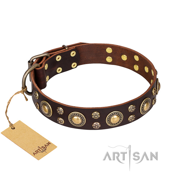 Heavy-duty leather dog collar with non-rusting elements