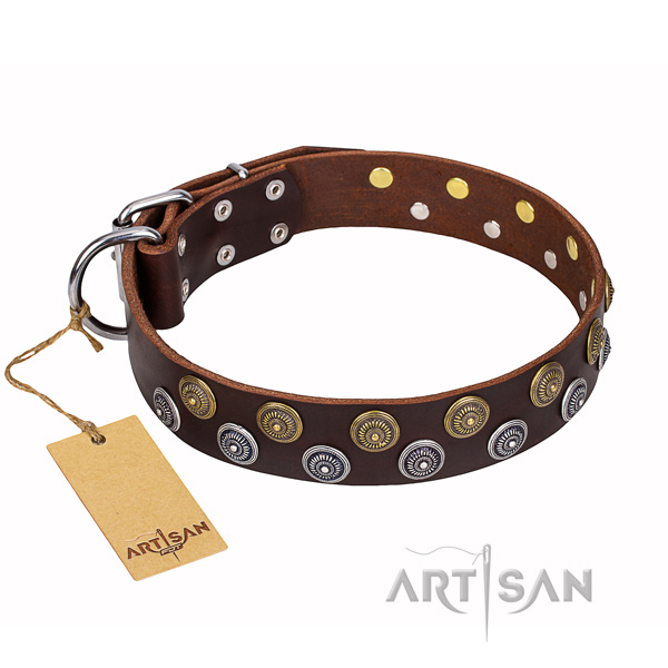 Dependable leather dog collar with rust-resistant details