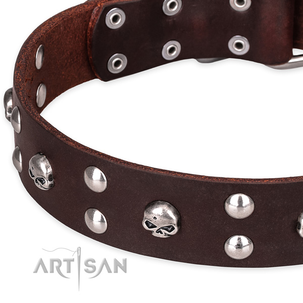 Everyday leather dog collar with unique design decorations