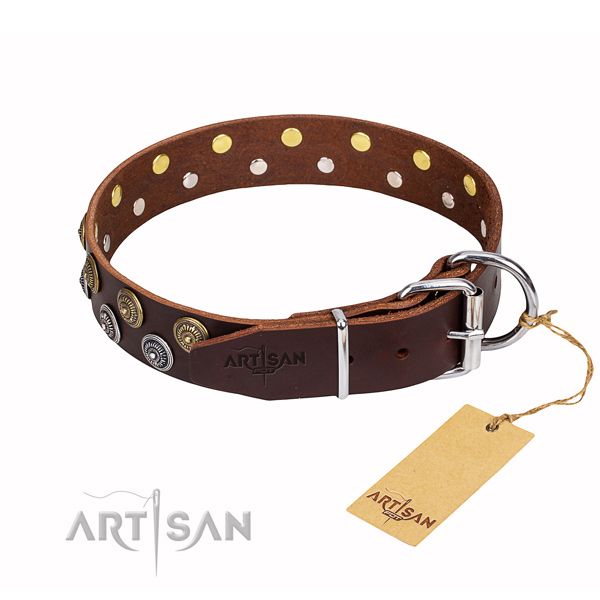 Fashionable leather collar for your gorgeous canine