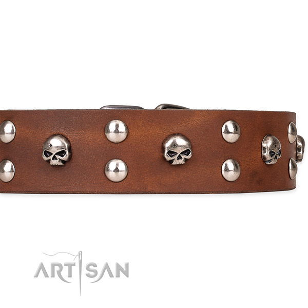 Fancy leather dog collar for easy walking