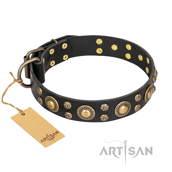 Tough leather dog collar with studs