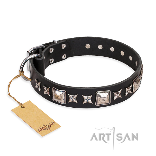 Reliable leather dog collar with strong hardware