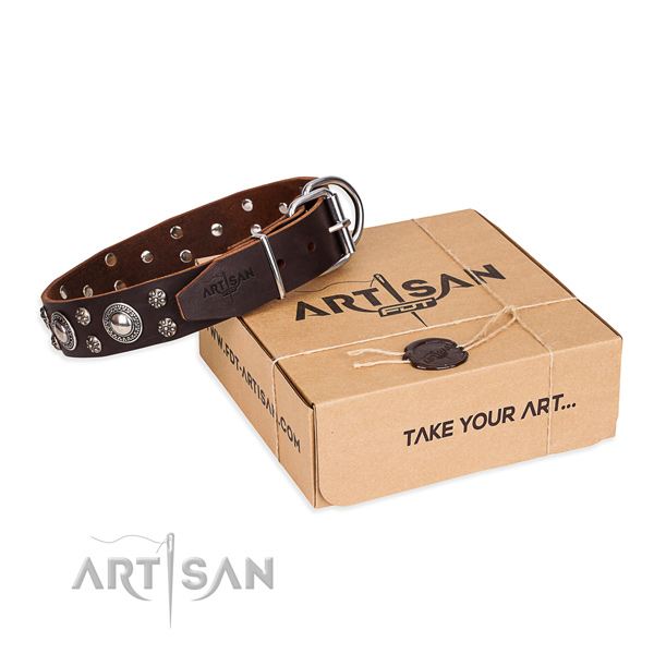 Everyday leather dog collar with refined embellishments