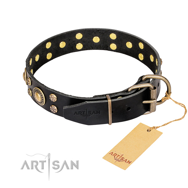 Durable leather collar for your beloved canine