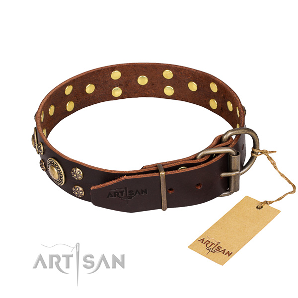 Functional leather collar for your stunning canine