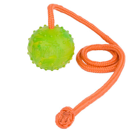 rubber ball on a rope