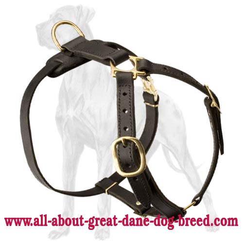 Buy Lightweight Tracking Leather Dog Harness for Great Dane Breed