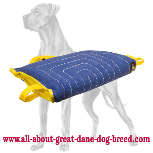 Buy great hot sale dane