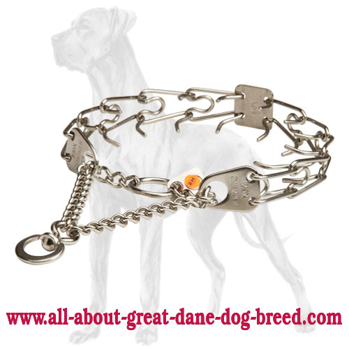 Dog Collars, Strong, Reliable & Guaranteed