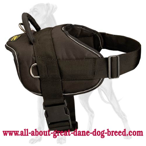 dog harness side ring