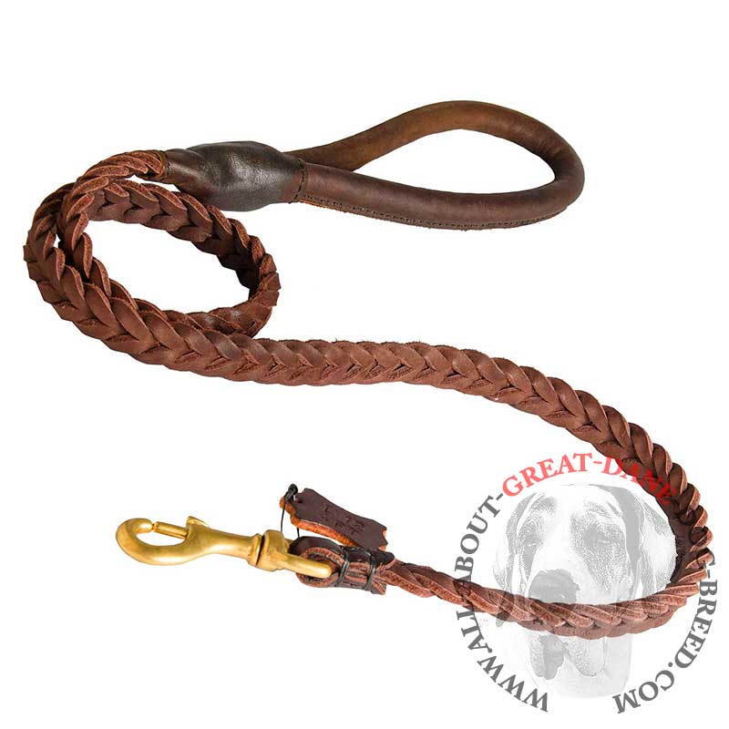 Braided Leather Leash with Handle for all dog breeds