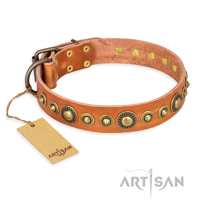 Hand-Made Luxury Leather Dog Collar